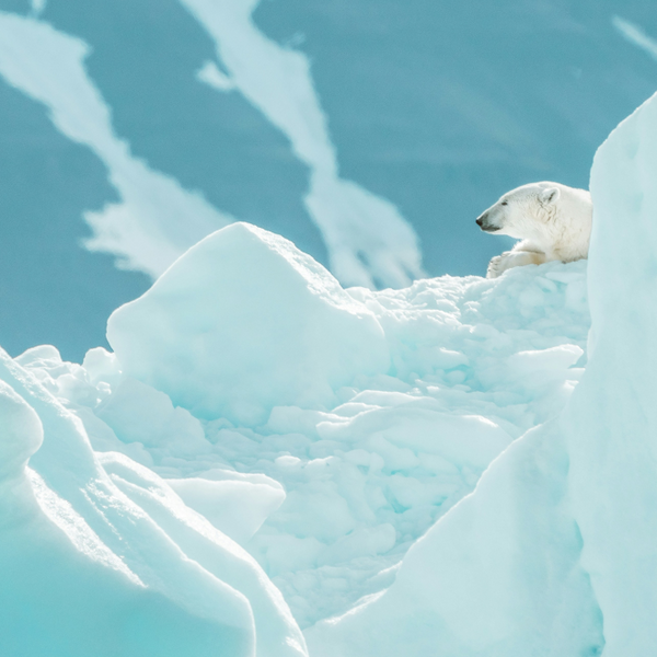 THE INUIT SPIRIT